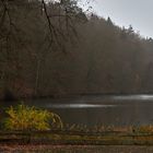 Auch ein grauer Novembernebelmorgen hat seine schöne Seiten, Ruhe und Stille herrschte  im Wald...