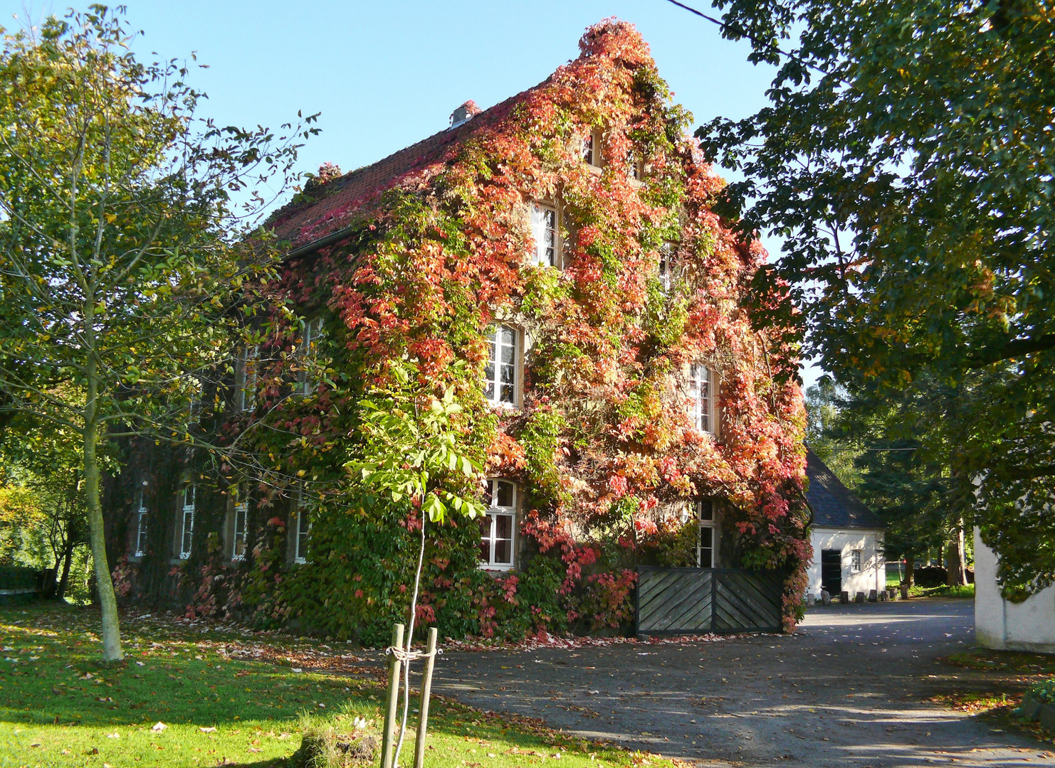 Auch ein Haus kann man schön dekorieren 