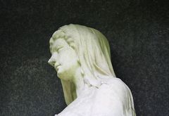 Auch eine "Schöne" vom Stahnsdorfer Friedhof