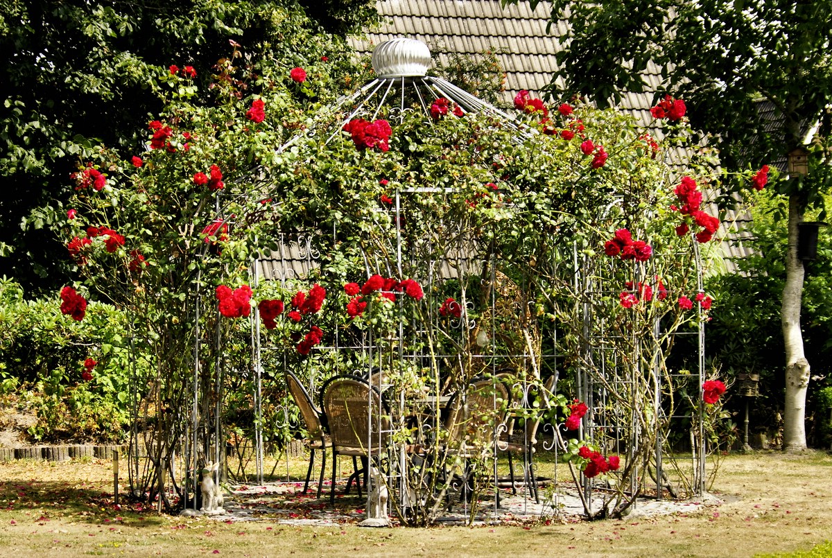 Auch einen tollen Rosenpavillon hatten sie dort.