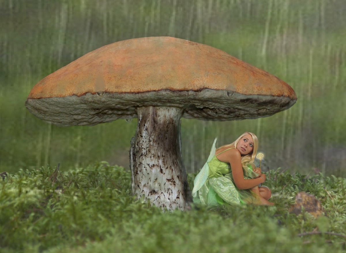 Auch Elfen haben Probleme Foto & Bild | fotomontage, fantasy