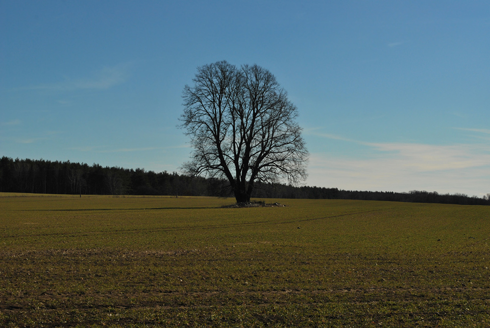 Auch er wartet auf über +10 °C...