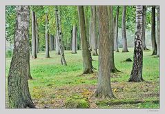 - auch farbig wirken die Bäume -