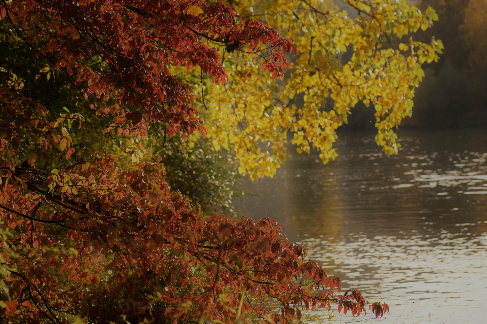 Auch Fluss und Bäume .......