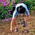 auch Fotografen haben Hunger