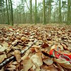 Auch fur coca cola war es herbst