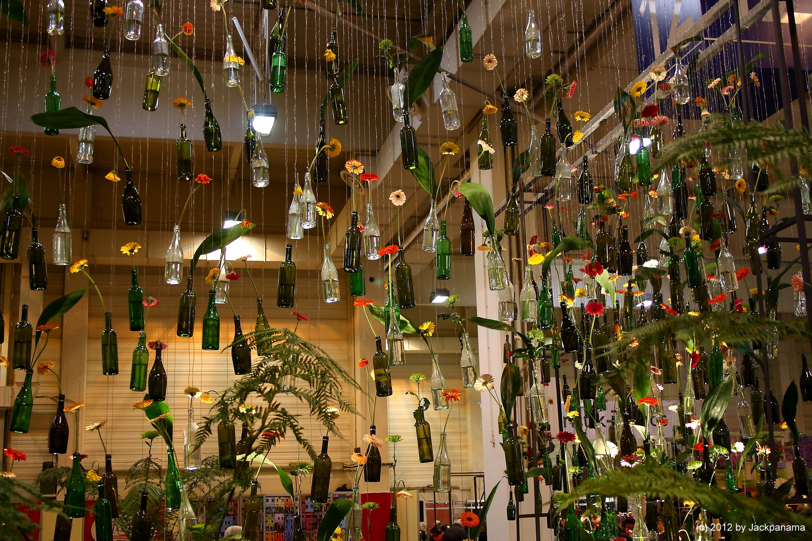 Auch Gerbera Hangen An Der Messe Haus Garten Genuss In Essen