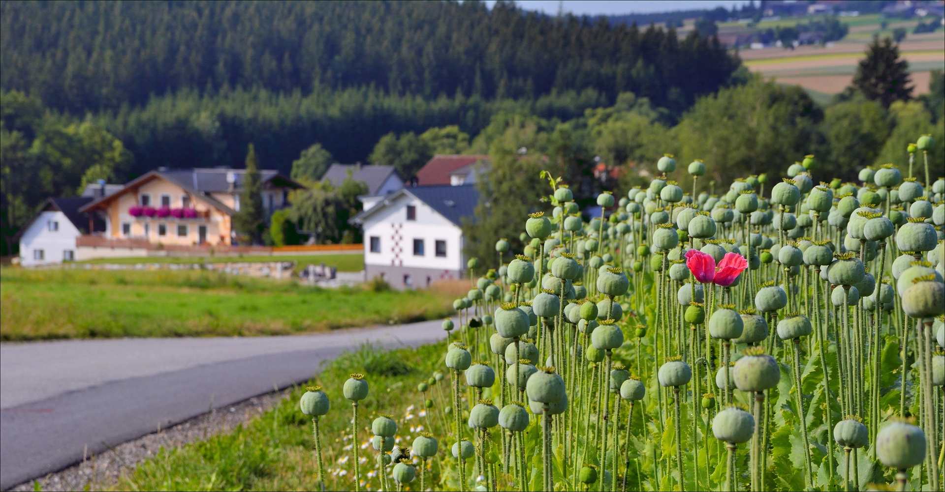 auch gestern auf der straße