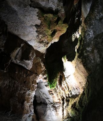 Auch Grün gibt es noch