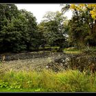 Auch hier macht sich der Herbst bemerkbar