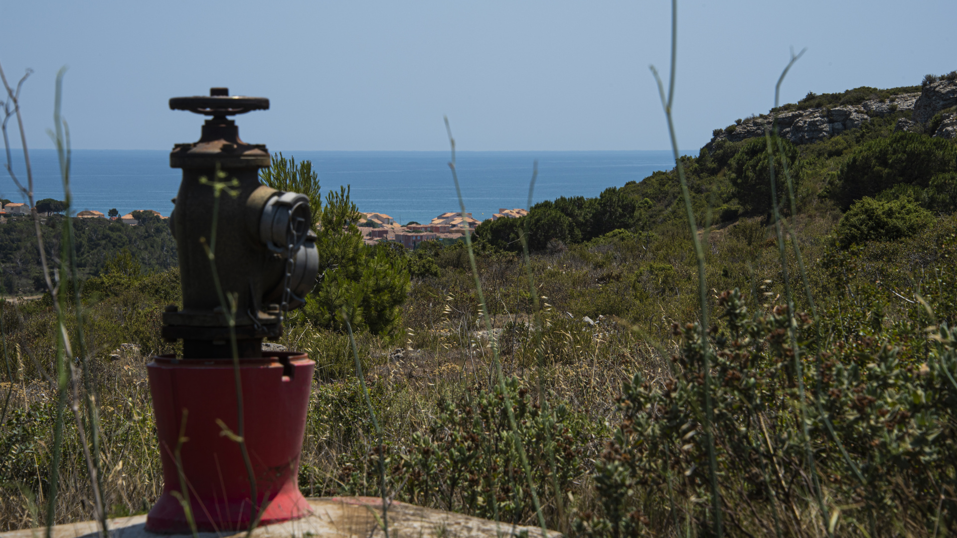 Auch Hydranten wollen mal ans Meer