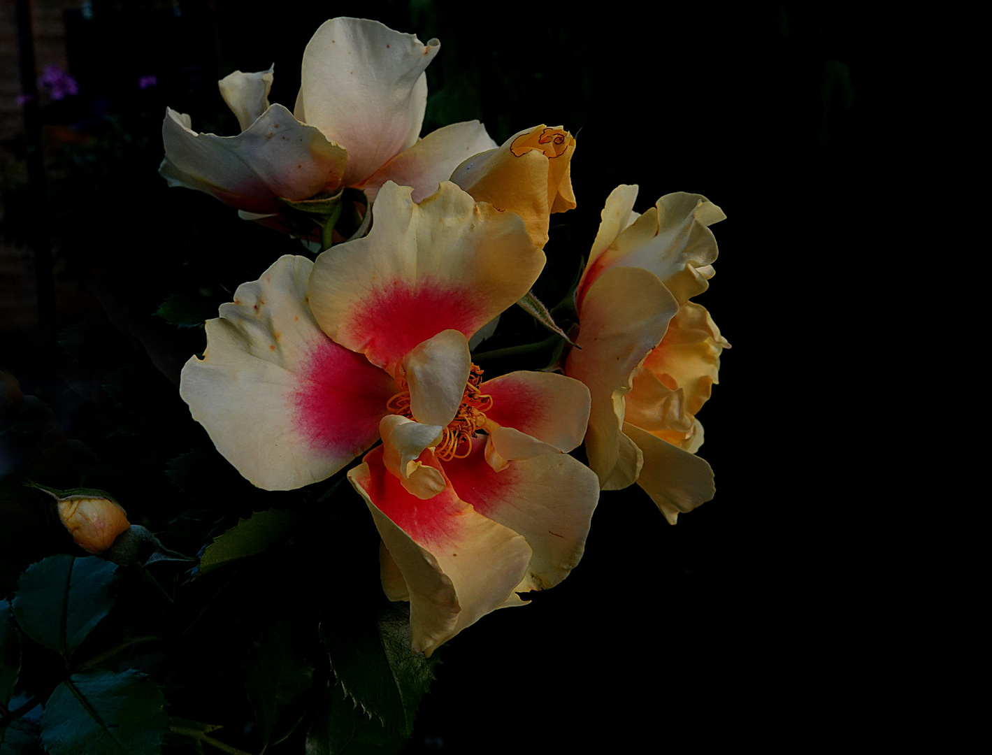 auch ihre Zeit ist bald vorbei