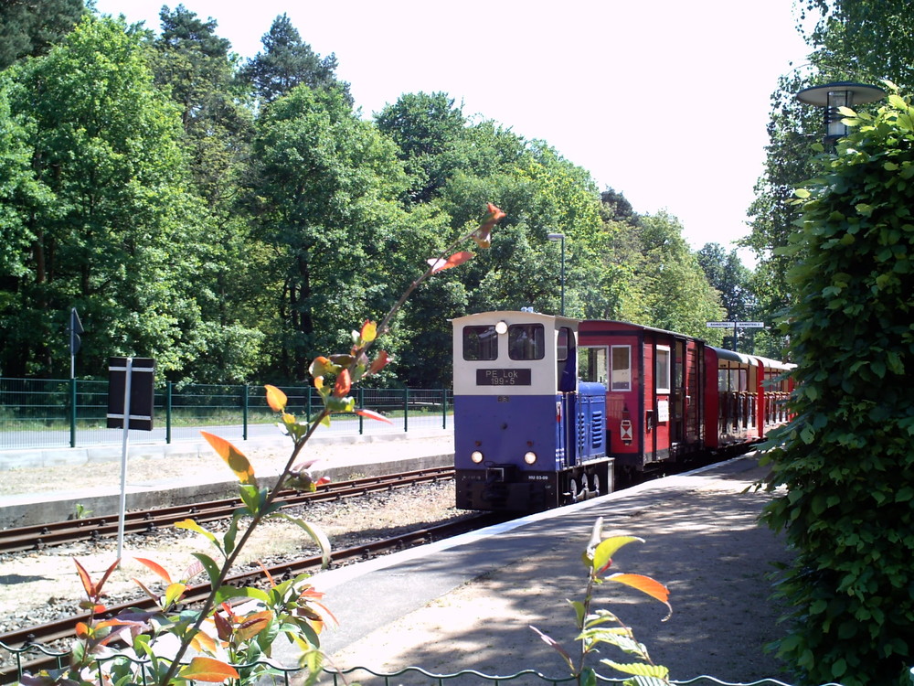 auch im 55. Jahr noch kein altes Eisen. [2009|05|12]