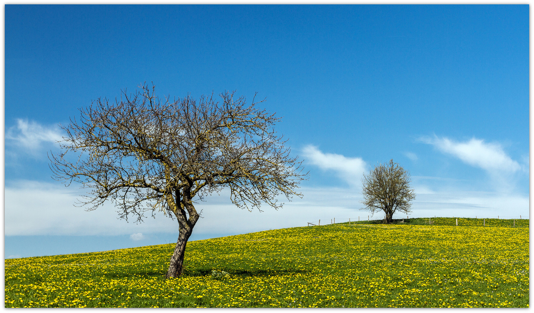 Auch im Allgäu...