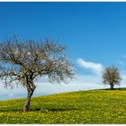 Auch im Allgäu...