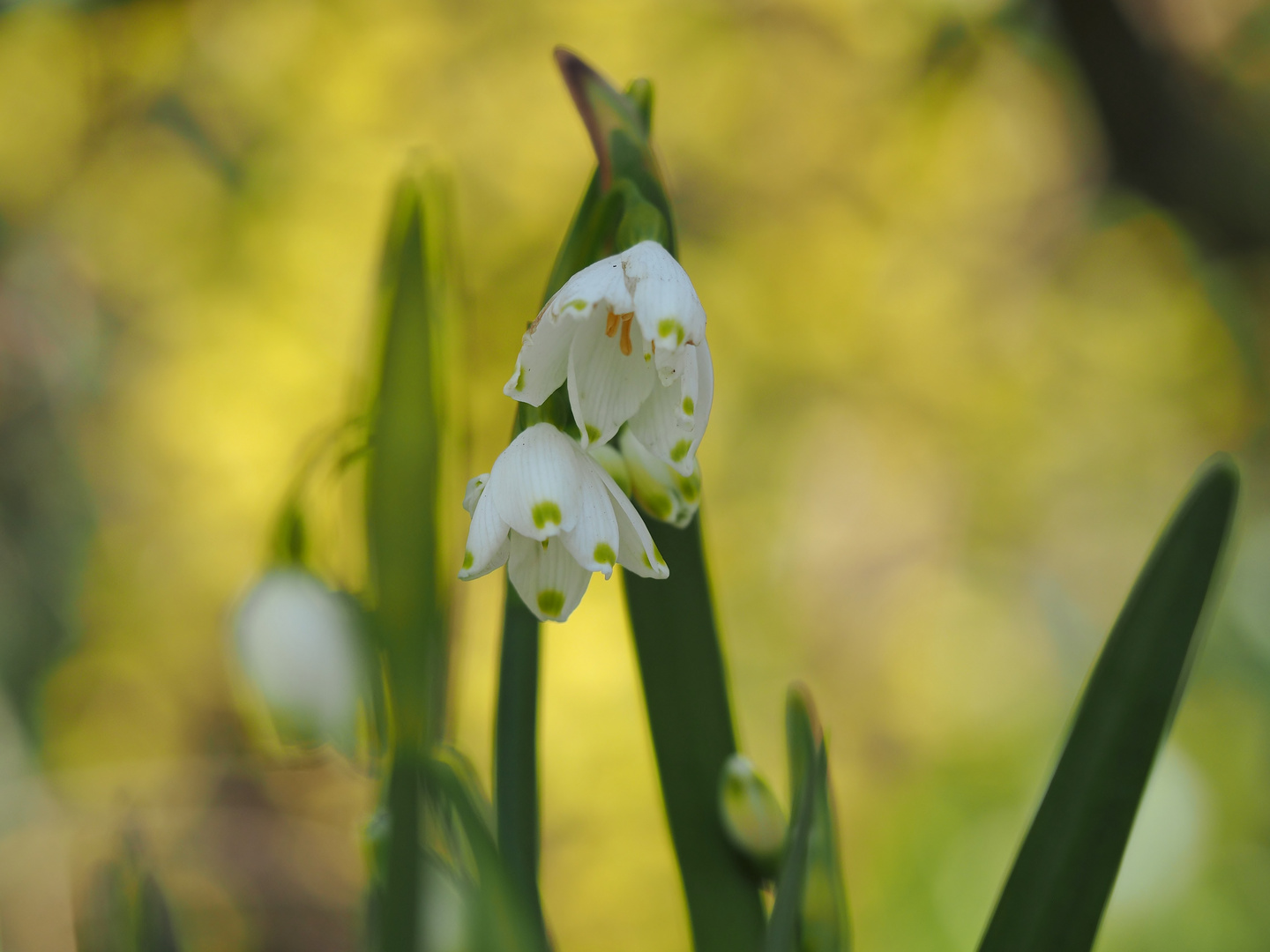 Auch im April....