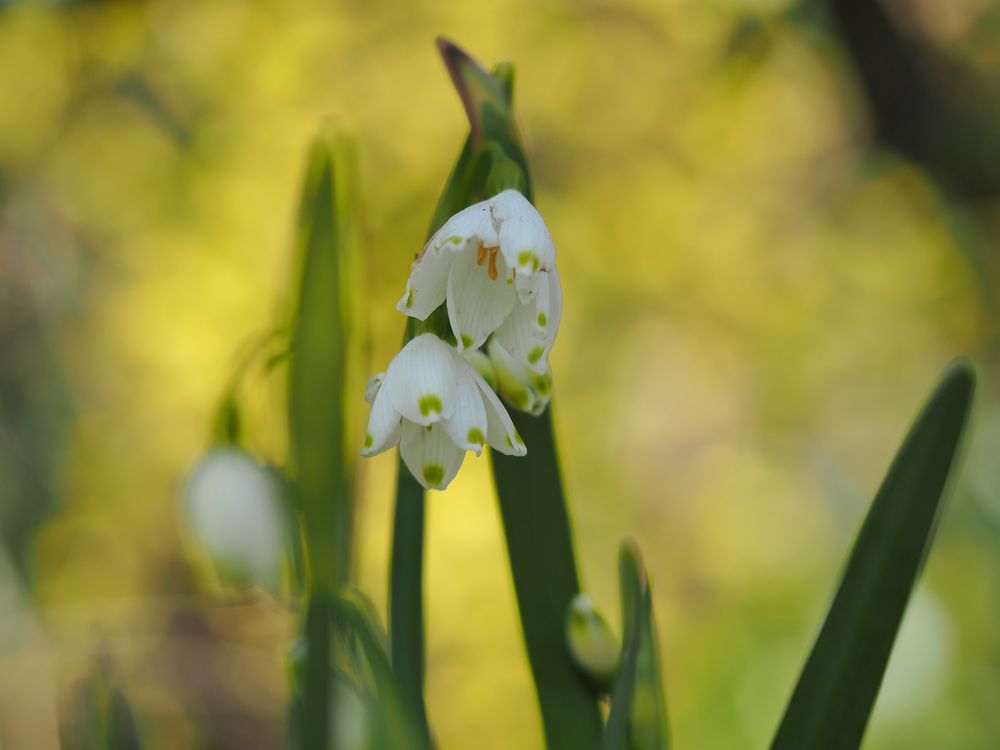 Auch im April....