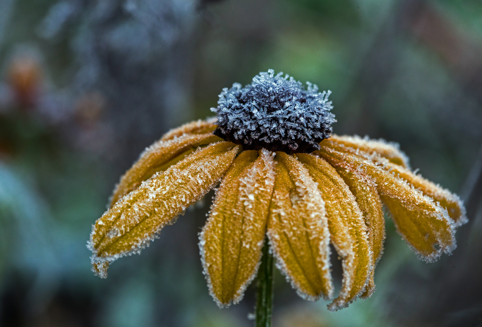 Auch im Herbst