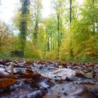  auch im  Herbst Badische Toskana 