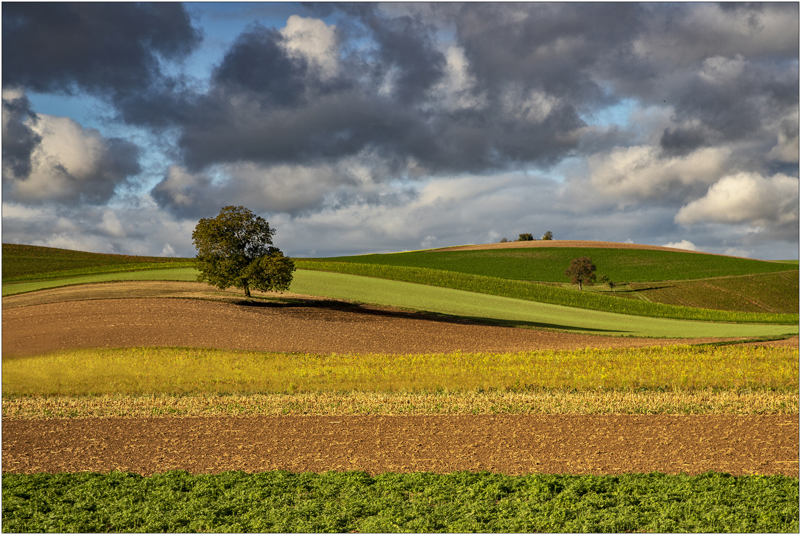 Auch im Herbst