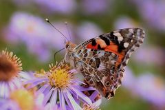 auch im Herbst ist die Natur noch wunderschön