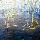 auch im Herbst ist es am Wasser sehr schön