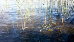 auch im Herbst ist es am Wasser sehr schön