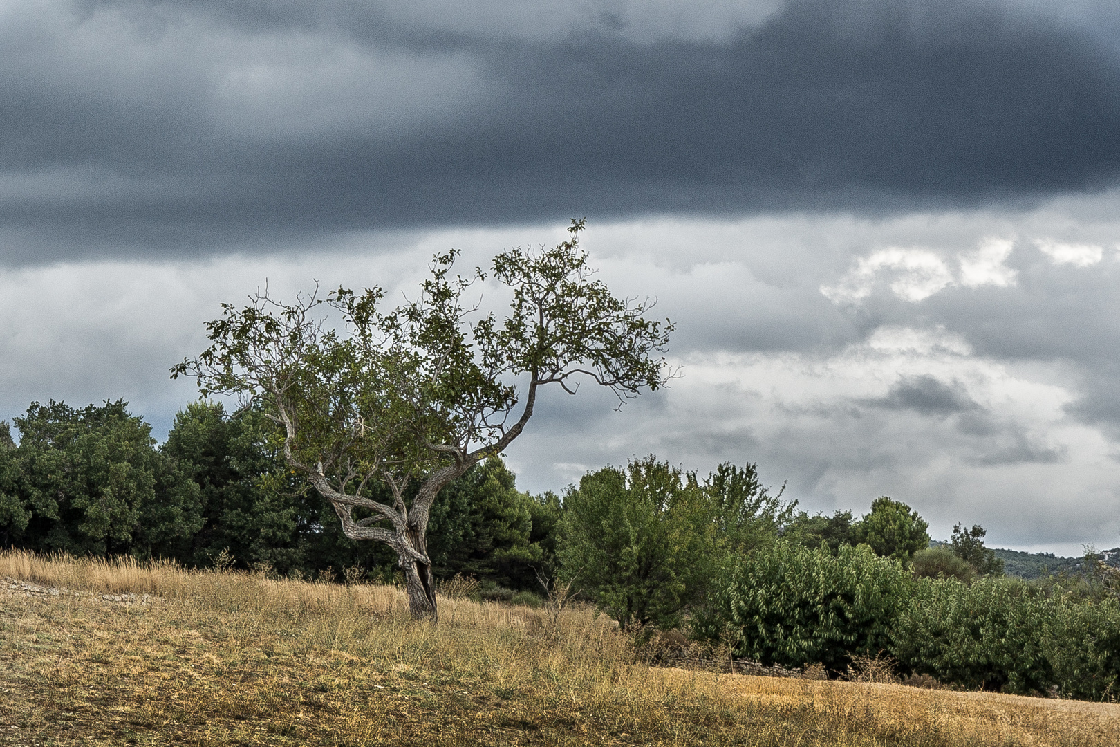 auch im Luberon kann der Regen  heftig werden