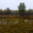 auch im Naturteil des Stadtparks zieht der Herbst ein