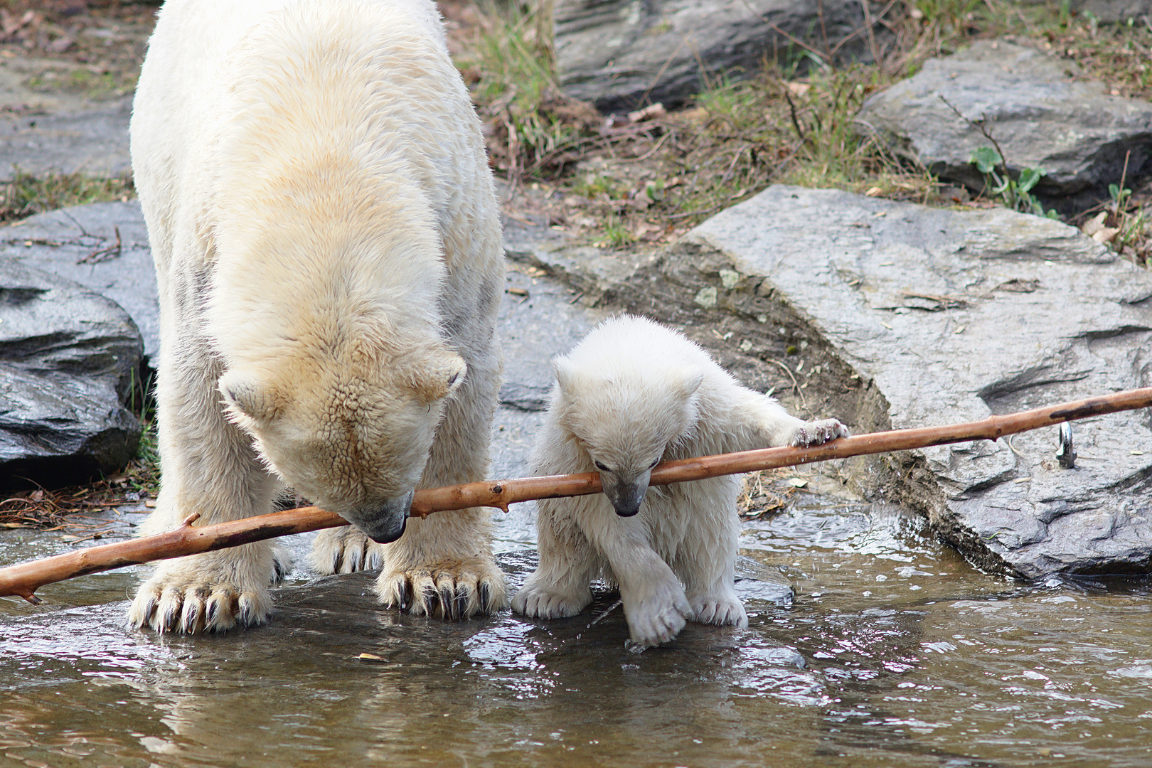 Auch im neuen Jahr wird uns nur Teamwork weiterbringen ;)