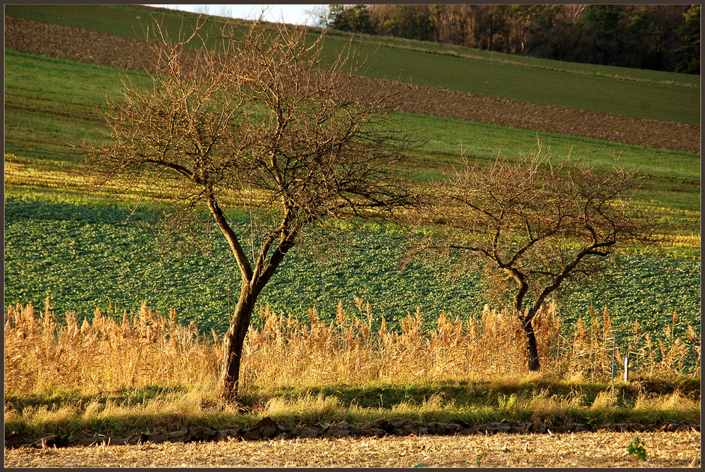 Auch im November...