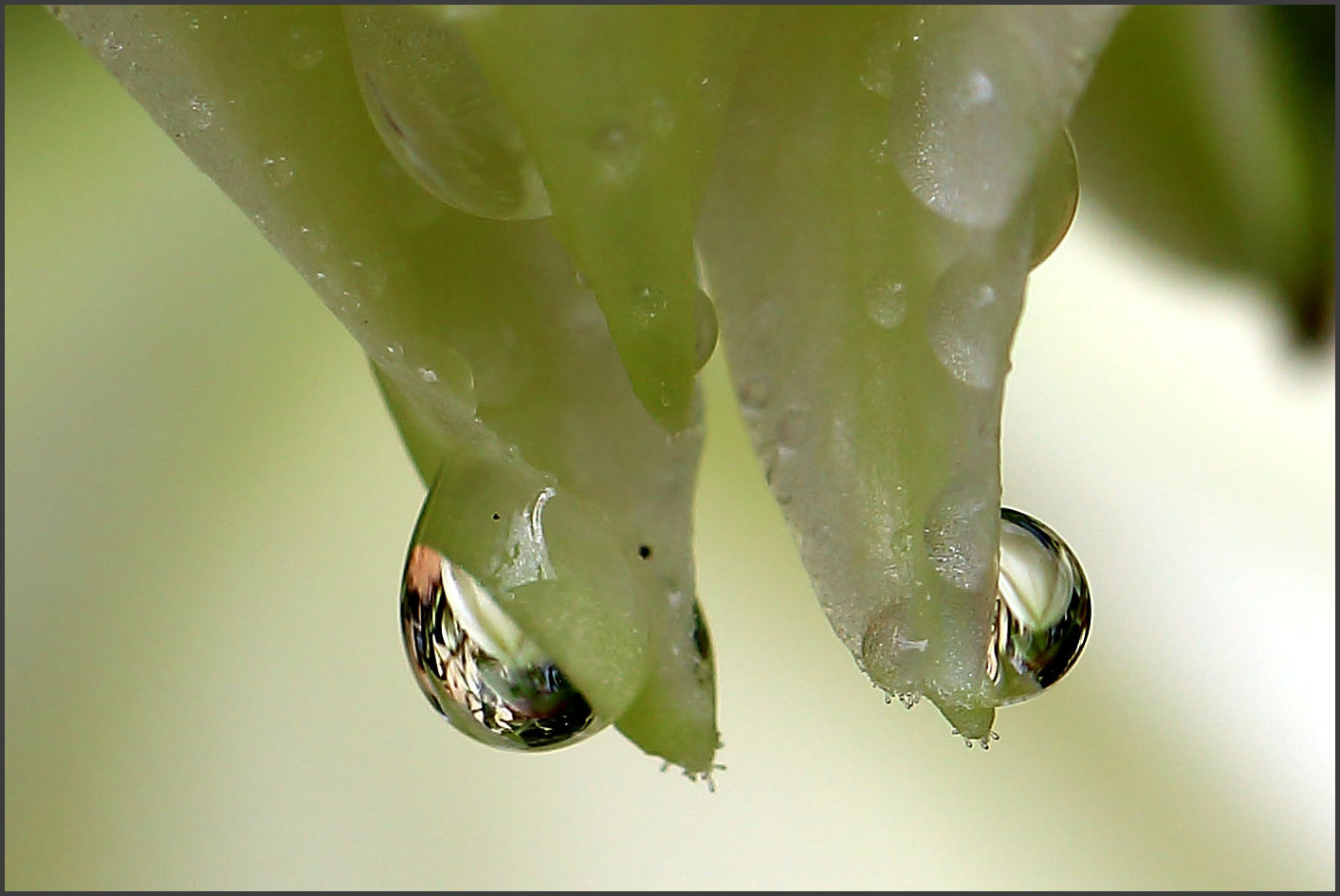 Auch im Regen ...