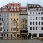 Auch im Regen ist Dresden attraktiv