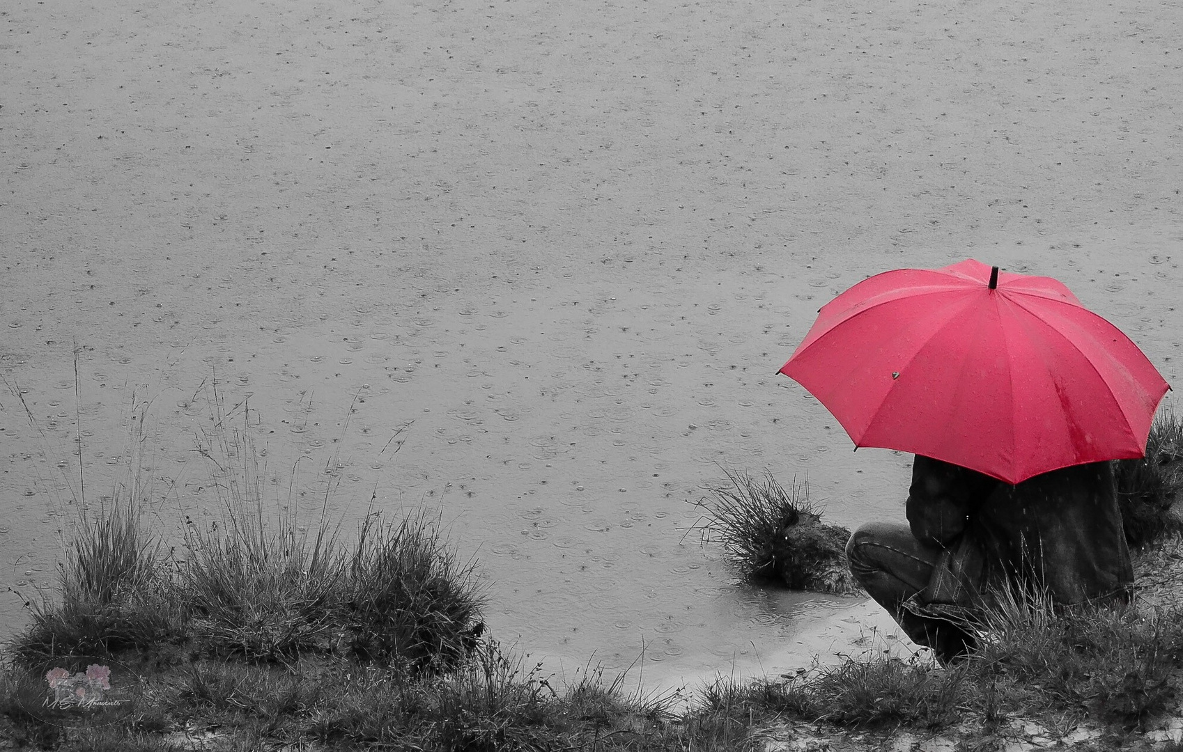 Auch im  Regen  kann man sch ne Fotos  Foto Bild kritik 