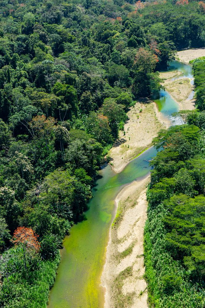 auch im Regenwald herrscht Wassermangel