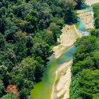 auch im Regenwald herrscht Wassermangel