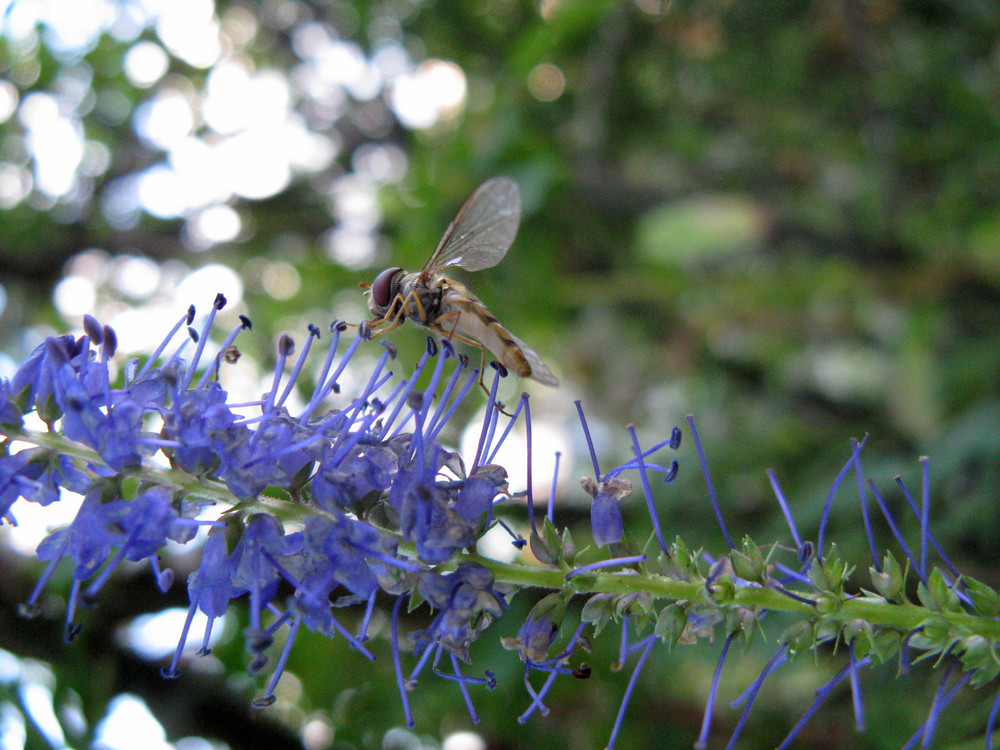 Auch im Sommer