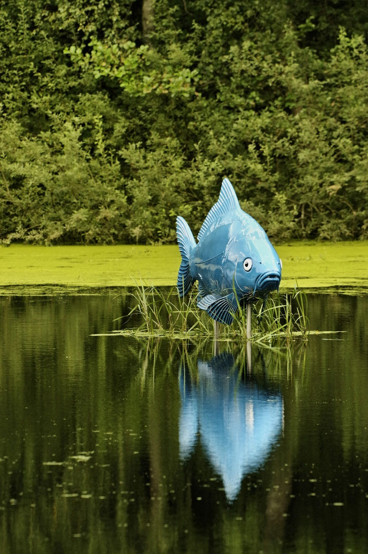 Auch im  Sommer sieht man ihn als erstes...