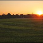 Auch im Taunus geht die Sonne unter...