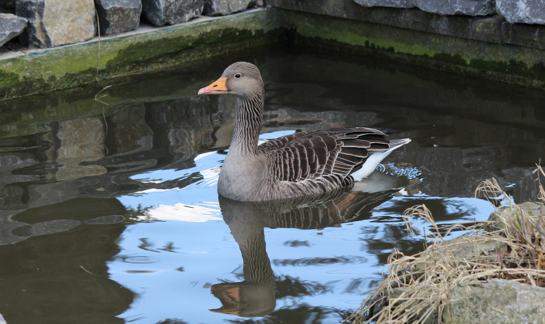 auch im Tierpark