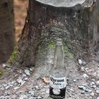 Auch im Wald ist man davor nicht sicher :-)