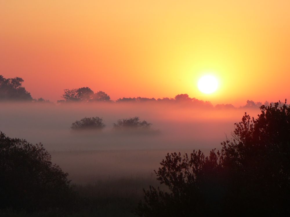 Auch im Wendland...