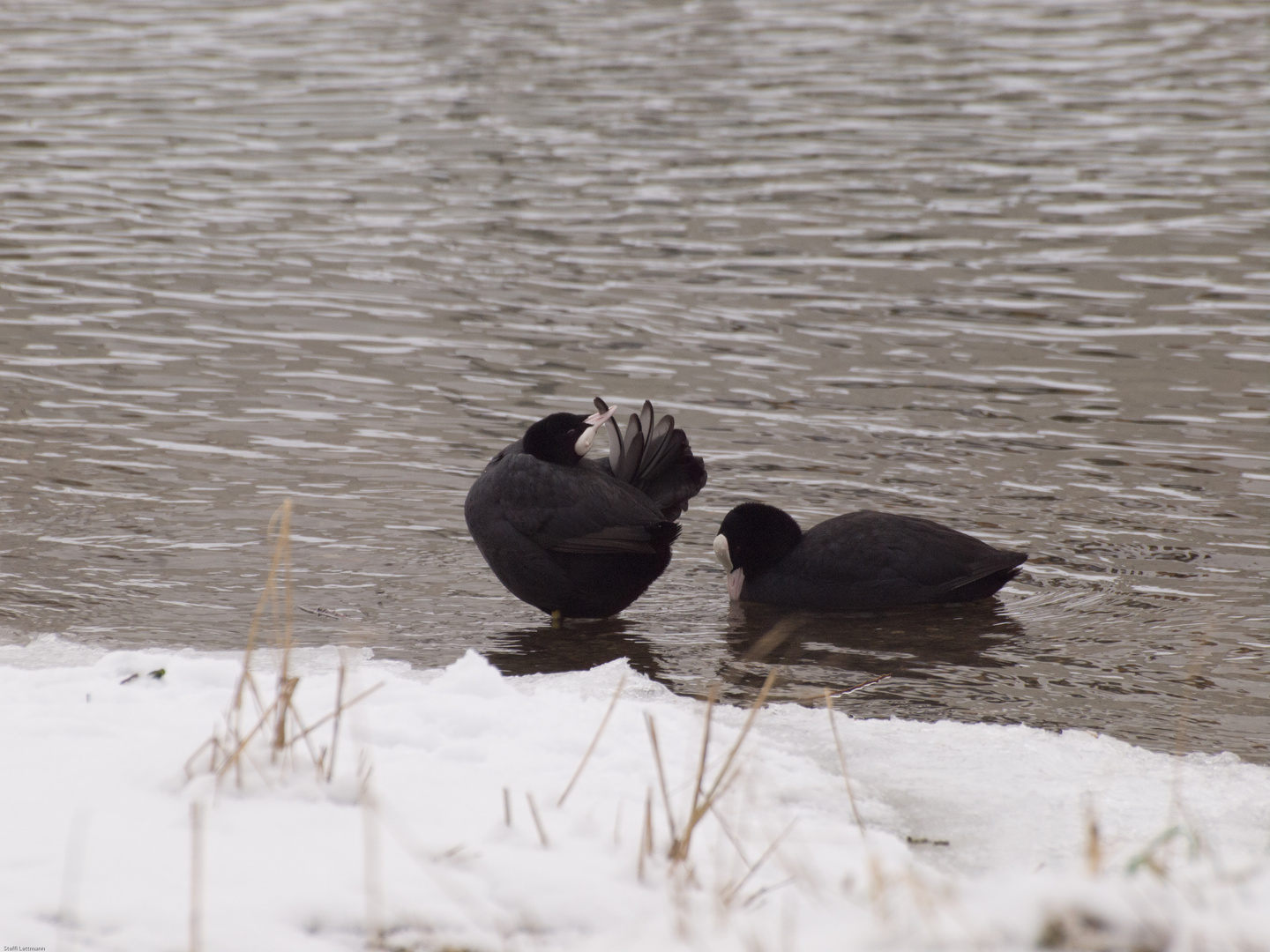 Auch im Winter ...