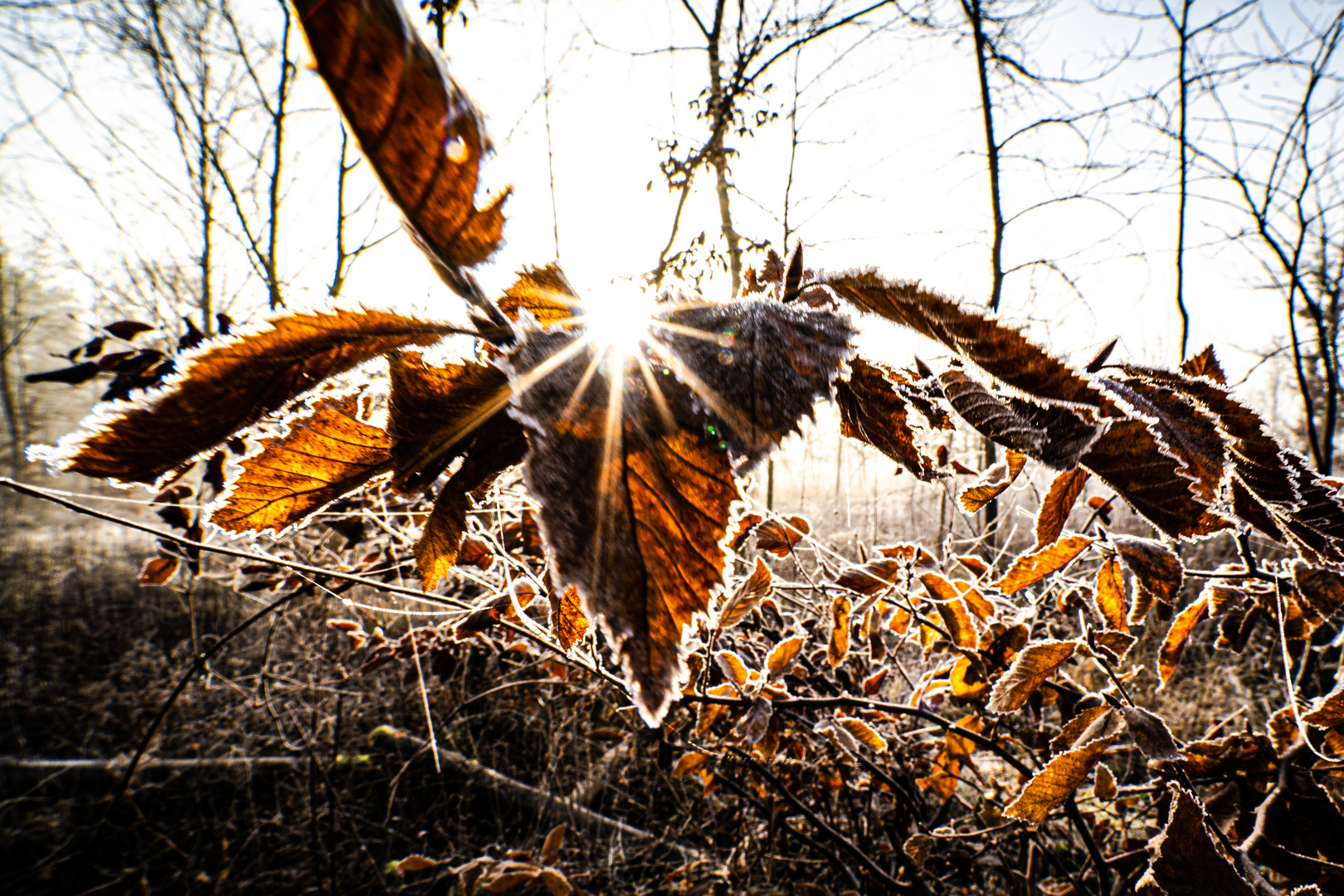 Auch im Winter geht die Sonne auf