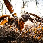 Auch im Winter geht die Sonne auf