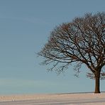 Auch im Winter > Gestript wird immer