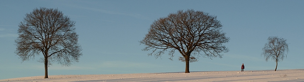 Auch im Winter > Gestript wird immer