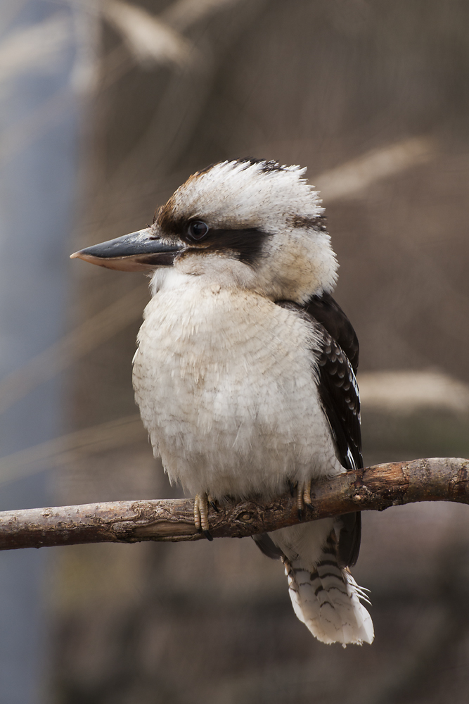 Auch im Winter ist der Zoo schön