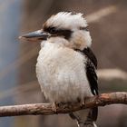 Auch im Winter ist der Zoo schön