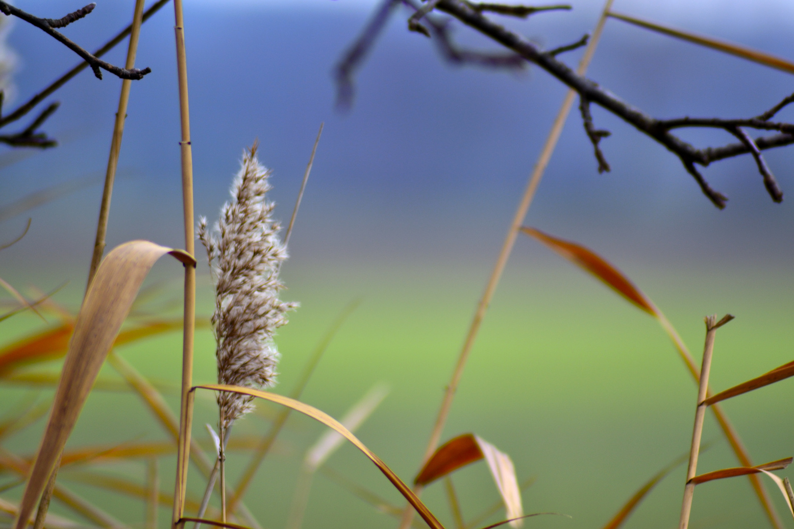 Auch im Winter ist es Bunt